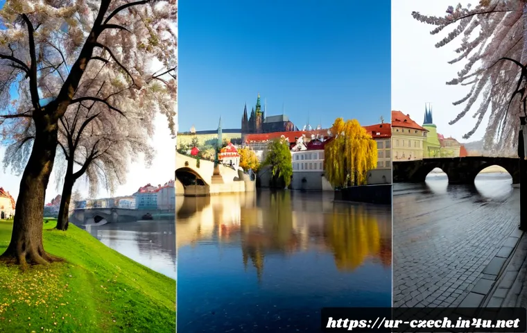 체코의 사계절 날씨 - Photorealistic four-season comparison of Prague’s historic Charles Bridge, arranged in four clean ve...